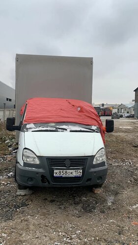 Луидор-Тюнинг 3009 на шасси GAZ GAZELLE BUSINESS Бортовой (Евроборт)
