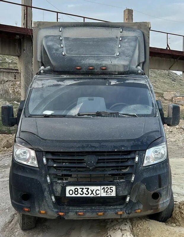 Луидор-Тюнинг 3009 на шасси GAZ GAZELLE NEXT Бортовой (Евроборт) — фото 1