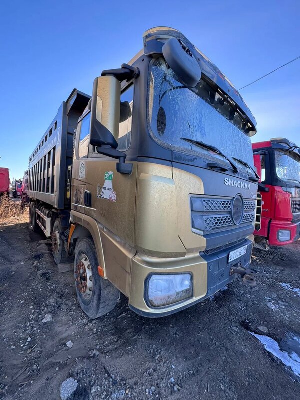 Shacman (Shaanxi) SX 8x4 Самосвал — фото 3
