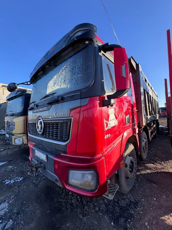 Shacman (Shaanxi) SX 8x4 Самосвал — фото 3