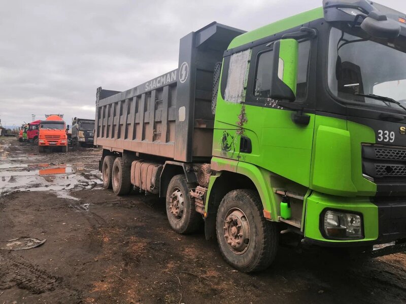 Shacman (Shaanxi) SX 8x4 Самосвал — фото 3