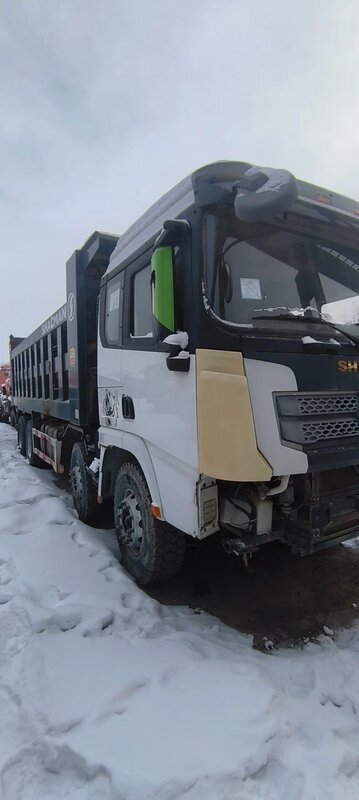 Shacman (Shaanxi) SX 8x4 Самосвал — фото 2