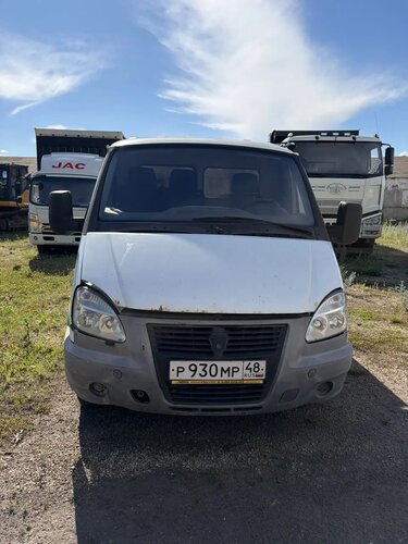 Луидор-Тюнинг 3009 на шасси GAZ GAZELLE BUSINESS Бортовой (Евроборт)