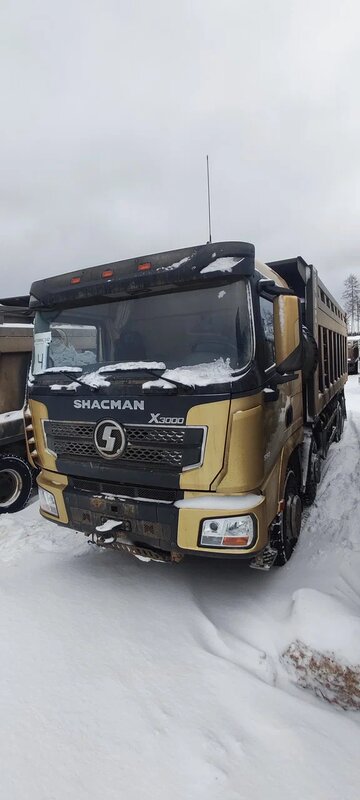 Shacman (Shaanxi) SX 8x4 Самосвал — фото 2