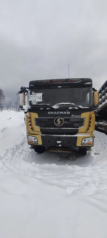 Shacman (Shaanxi) SX 8x4 Самосвал — фото 1