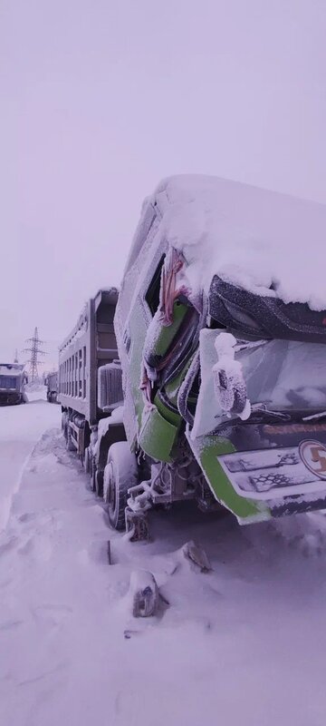 Shacman (Shaanxi) SX 8x4 Самосвал — фото 2