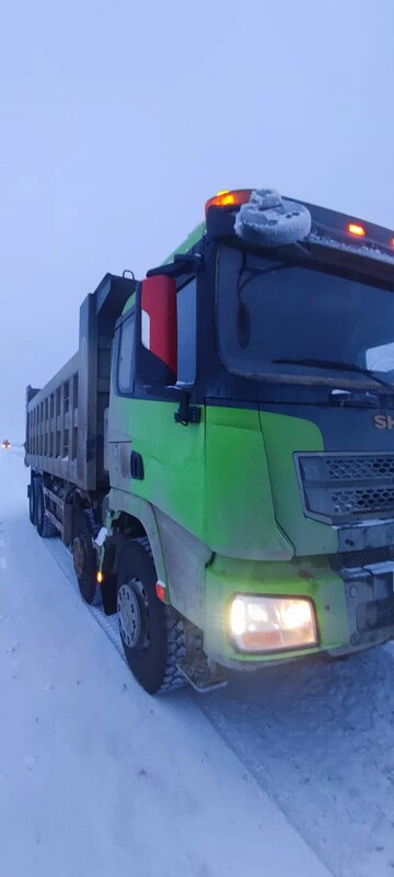 Shacman (Shaanxi) SX 8x4 Самосвал — фото 2