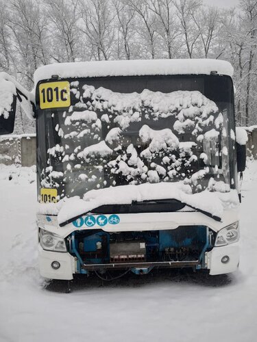 ЛиАЗ 4292 Автобус
