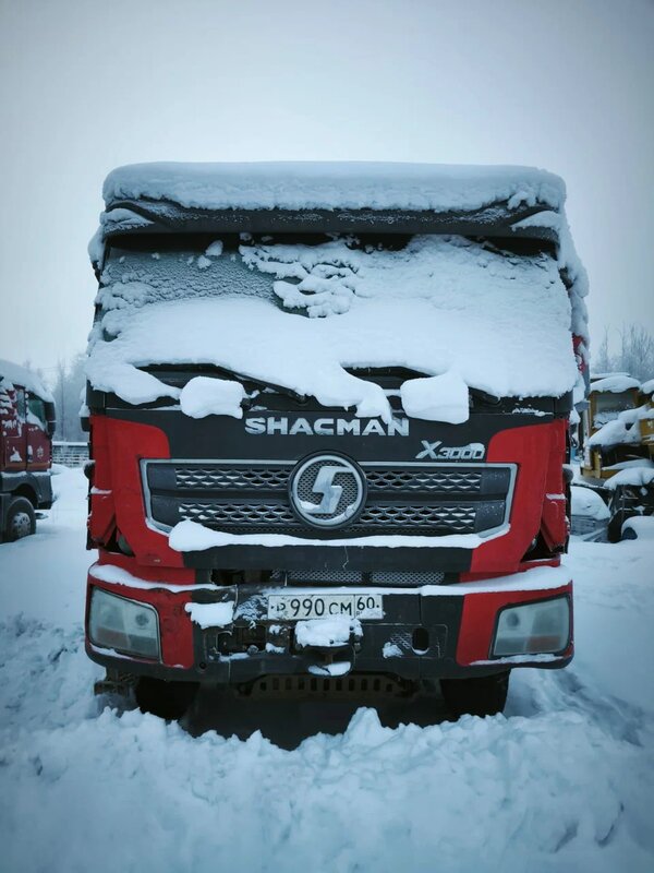 Shacman (Shaanxi) SX 8x4 Самосвал — фото 1