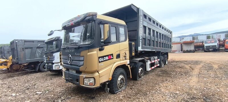 Shacman (Shaanxi) SX 8x4 Самосвал — фото 3