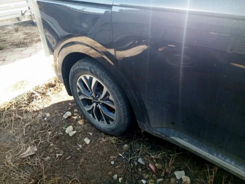 Kia Carnival — фото 11
