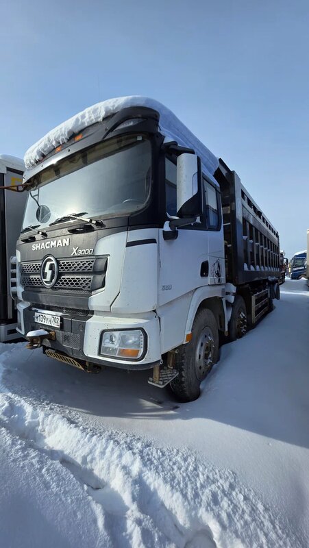 Shacman (Shaanxi) SX 8x4 Самосвал — фото 2