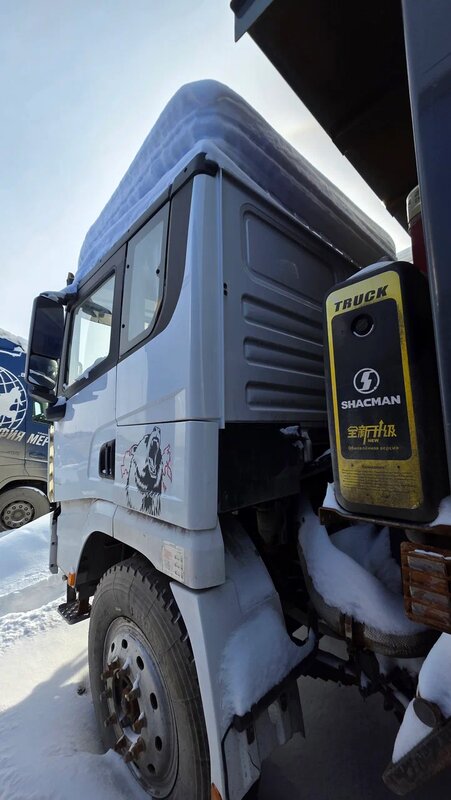 Shacman (Shaanxi) SX 8x4 Самосвал — фото 6