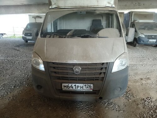 Новый завод 3009 на шасси GAZ GAZELLE NEXT Бортовой (Евроборт)