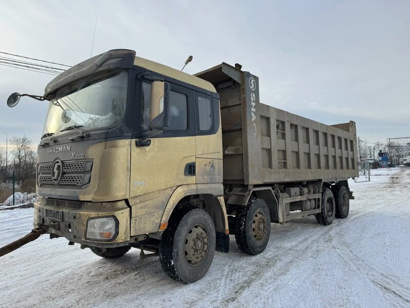 Shacman (Shaanxi) SX 8x4 Самосвал — фото 3