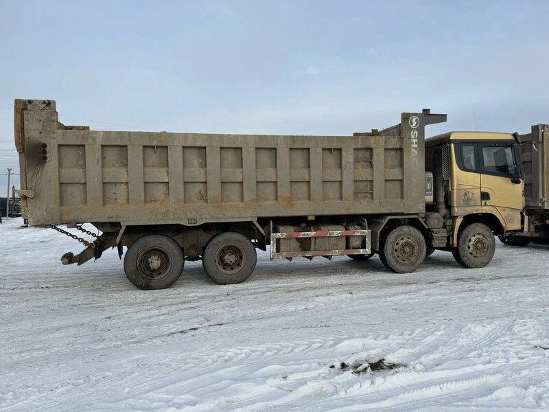 Shacman (Shaanxi) SX 8x4 Самосвал — фото 4
