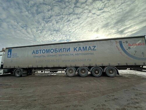 Тонар 9746 Полуприцеп шторный