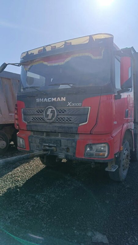 Shacman (Shaanxi) SX 8x4 Самосвал — фото 1