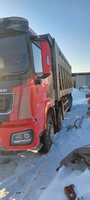 Shacman (Shaanxi) SX 8x4 Самосвал — фото 2