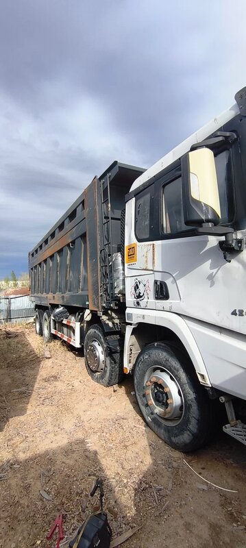 Shacman (Shaanxi) SX 8x4 Самосвал — фото 5
