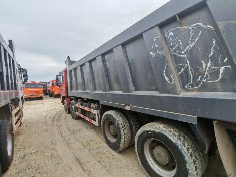 Shacman (Shaanxi) SX 8x4 Самосвал — фото 6
