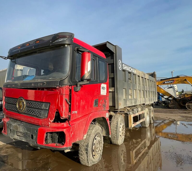 Shacman (Shaanxi) SX 8x4 Самосвал — фото 4