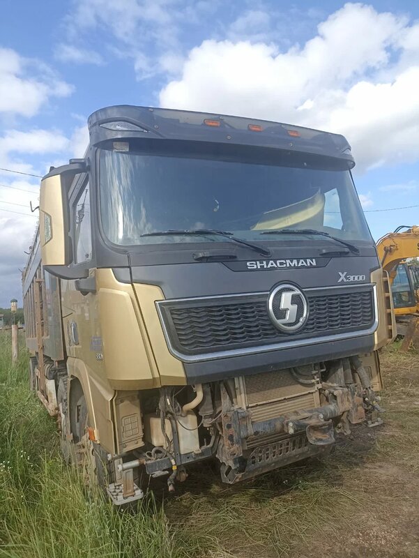 Shacman (Shaanxi) SX 8x4 Самосвал — фото 2