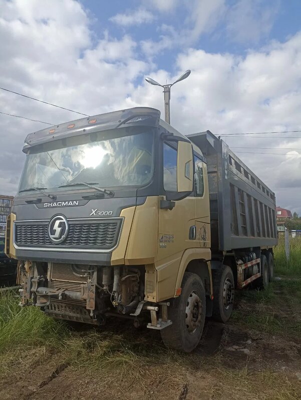 Shacman (Shaanxi) SX 8x4 Самосвал — фото 3