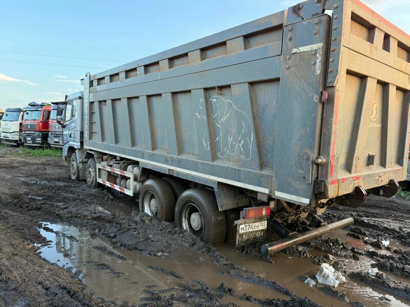 Shacman (Shaanxi) SX 8x4 Самосвал — фото 4
