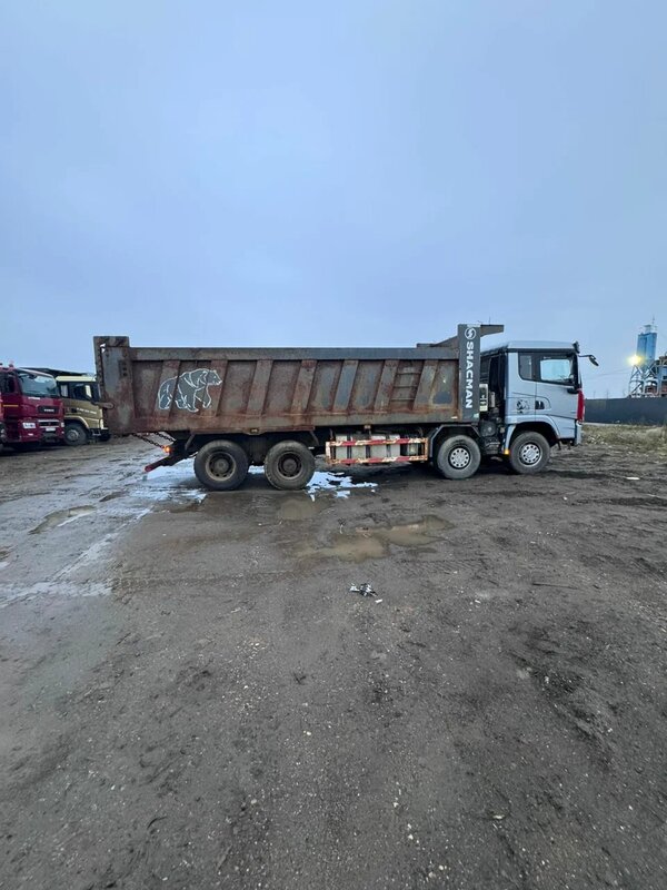 Shacman (Shaanxi) SX 8x4 Самосвал — фото 4