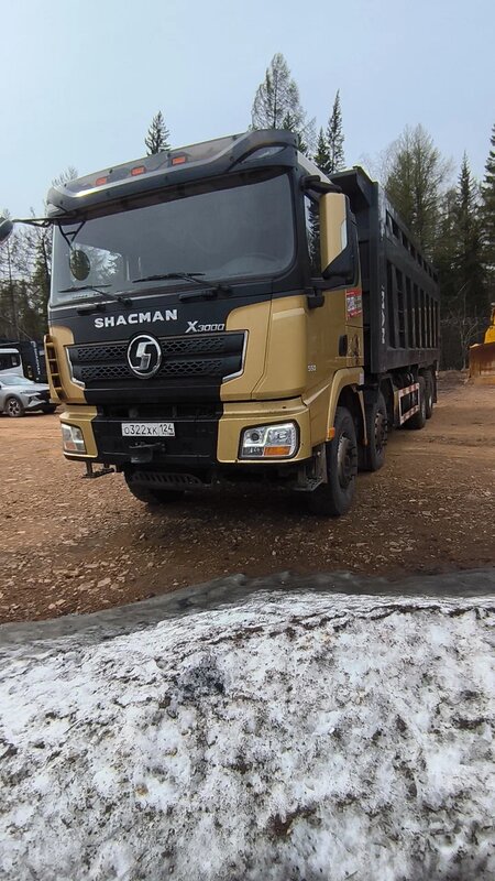 Shacman (Shaanxi) SX 8x4 Самосвал — фото 2