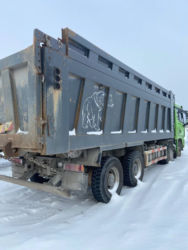Shacman (Shaanxi) SX 8x4 Самосвал — фото 5