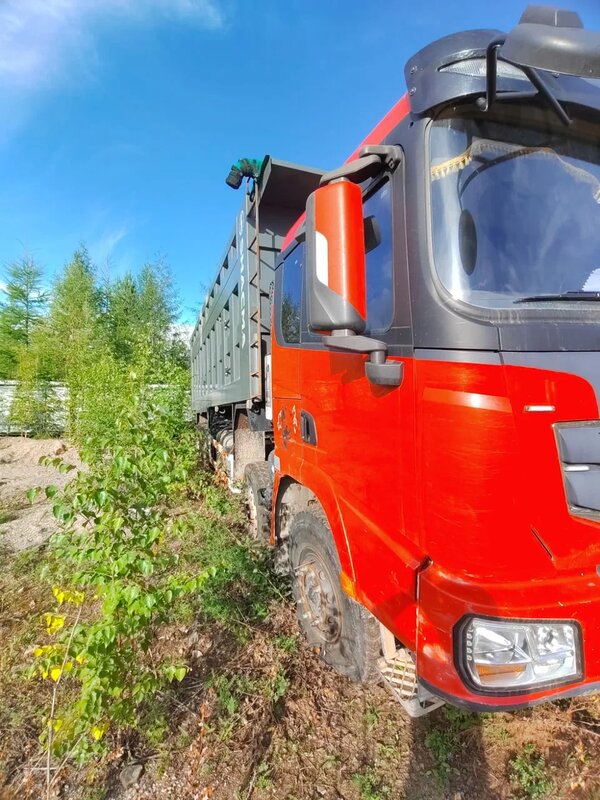Shacman (Shaanxi) SX 8x4 Самосвал — фото 3