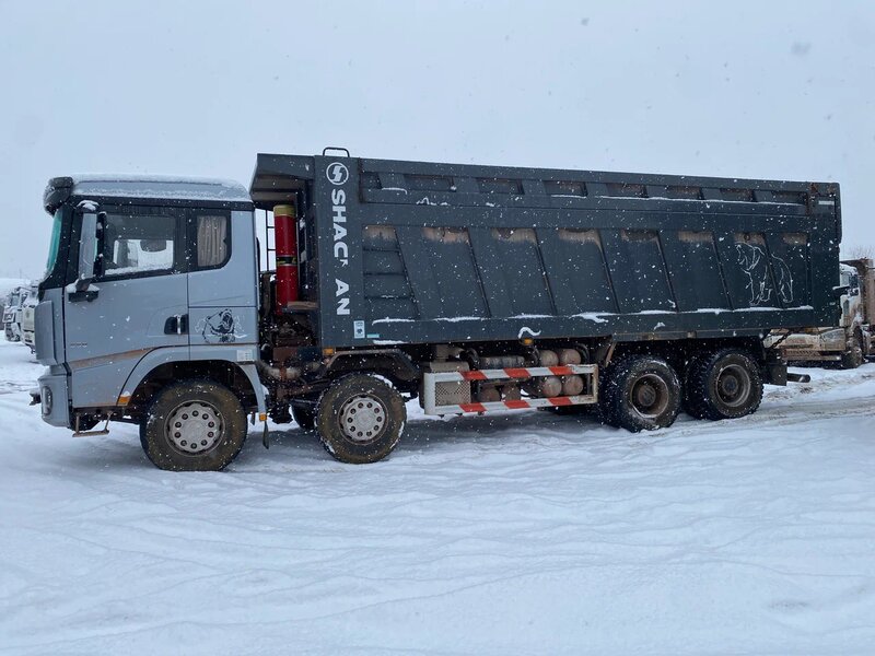 Shacman (Shaanxi) SX 8x4 Самосвал — фото 4