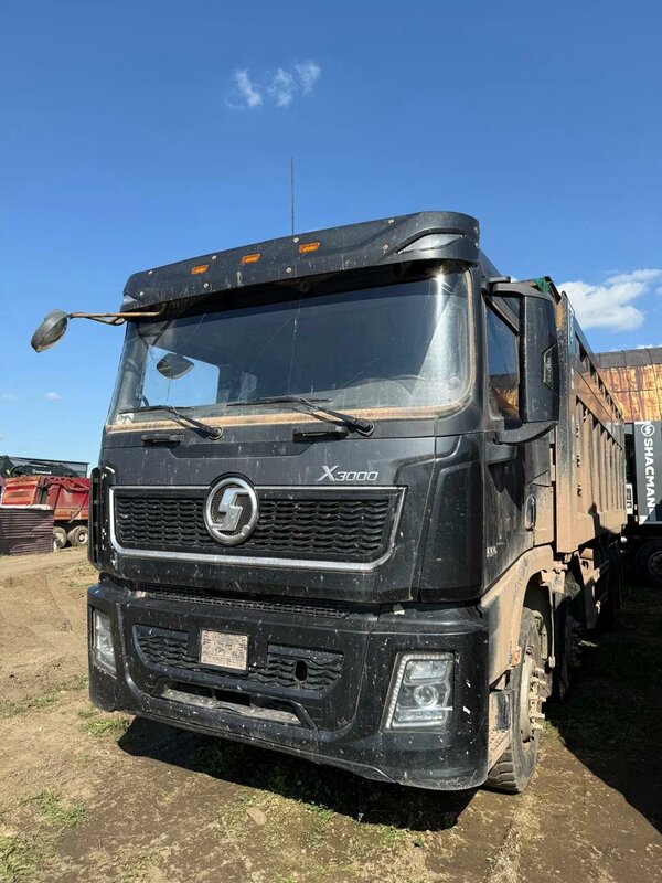 Shacman (Shaanxi) SX 8x4 Самосвал — фото 3