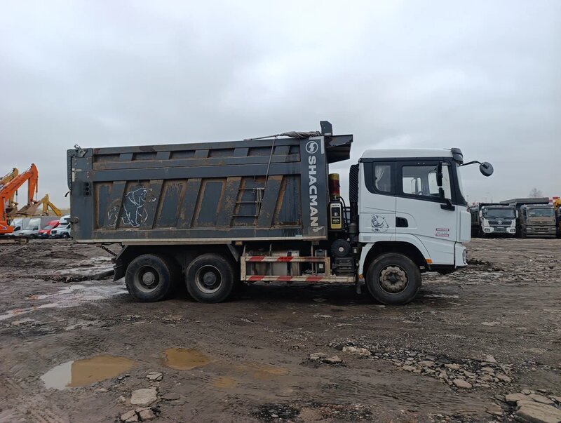 Shacman (Shaanxi) SX 6x4 Самосвал — фото 4