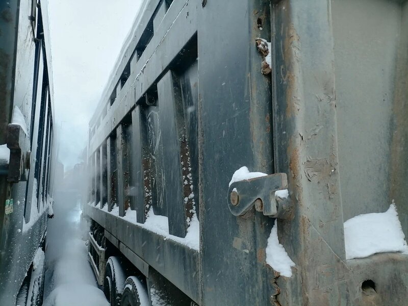 Shacman (Shaanxi) SX 8x4 Самосвал — фото 5