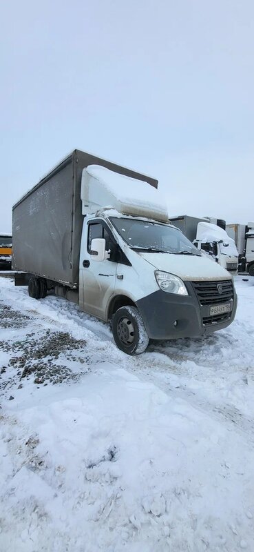 Луидор-Тюнинг 3009 на шасси GAZ GAZELLE NEXT Бортовой (Евроборт) — фото 2