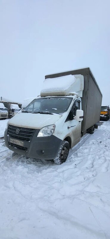 Луидор-Тюнинг 3009 на шасси GAZ GAZELLE NEXT Бортовой (Евроборт) — фото 3