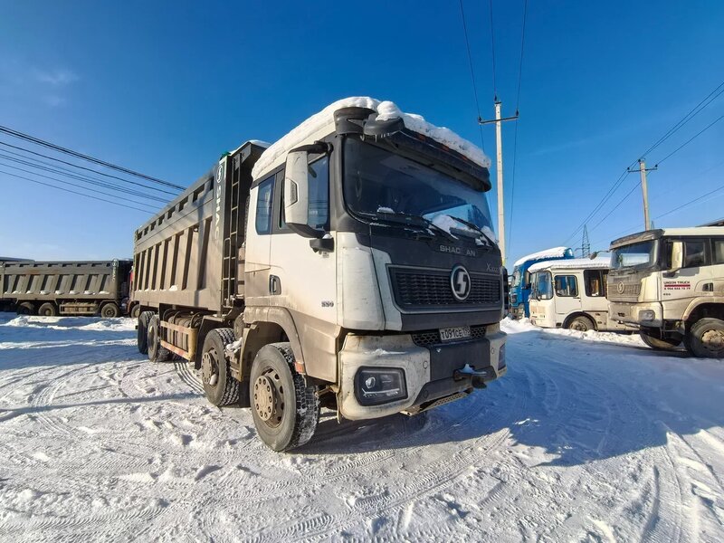 Shacman (Shaanxi) SX 8x4 Самосвал — фото 2