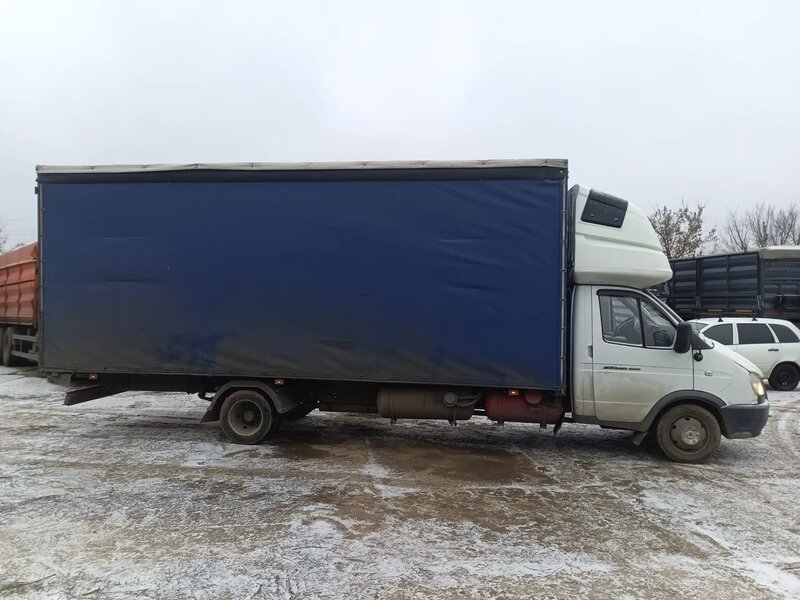 Луидор-Тюнинг 3009 на шасси GAZ GAZELLE BUSINESS Бортовой (Евроборт) — фото 5