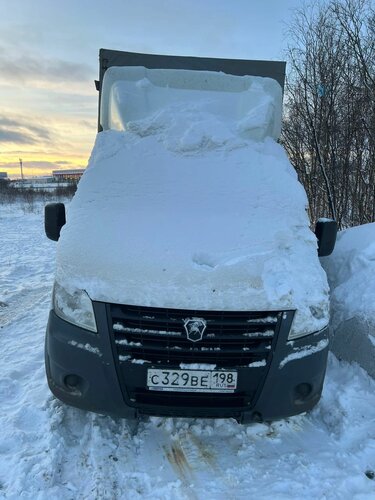 GAZ GAZELLE NEXT Бортовой (Евроборт)