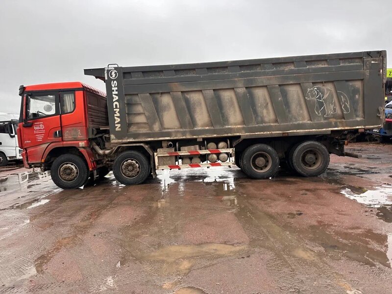 Shacman (Shaanxi) SX 8x4 Самосвал — фото 5