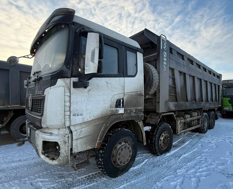 Shacman (Shaanxi) SX 8x4 Самосвал — фото 3