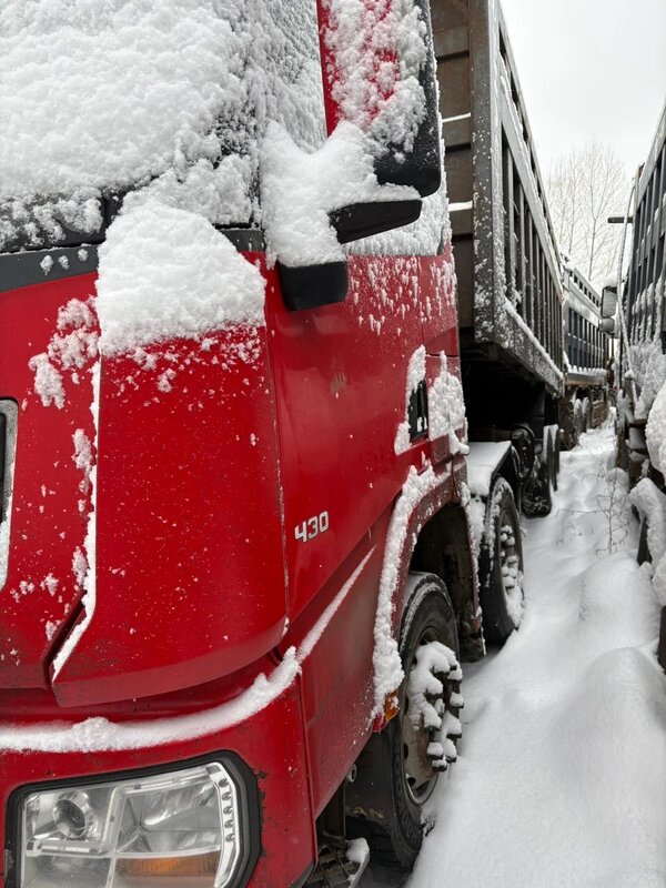 Shacman (Shaanxi) SX 8x4 Самосвал — фото 2
