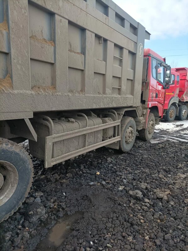 Shacman (Shaanxi) SX 8x4 Самосвал — фото 6