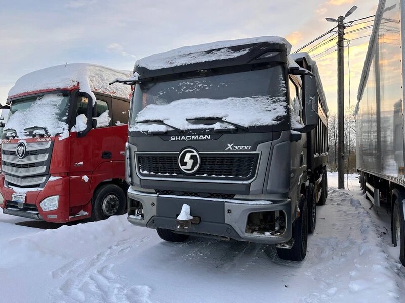 Shacman (Shaanxi) SX 8x4 Самосвал — фото 3