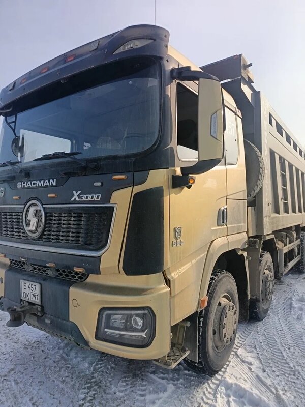 Shacman (Shaanxi) SX 8x4 Самосвал — фото 3