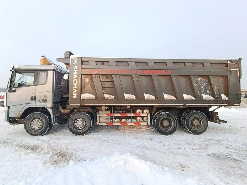 Shacman (Shaanxi) SX 8x4 Самосвал — фото 4