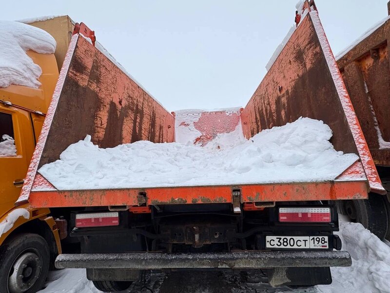 КамАЗ 65201 8x4 Самосвал — фото 6
